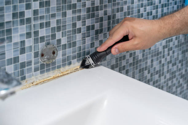 Best Mold Testing  in Alamosa, CO